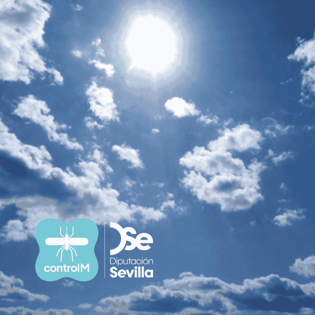 Con el calor, llegan los mosquitos