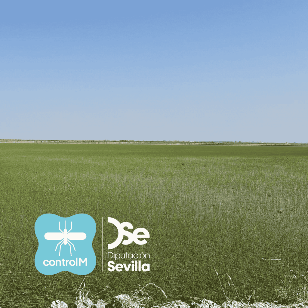 Participación de las Agrupaciones de Producción Integrada (API) de arroz en el control del mosquito