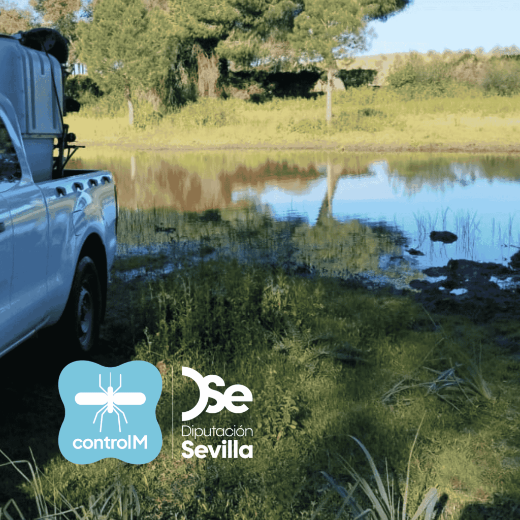 Actualización sobre los tratamientos larvicidas para el control de mosquitos transmisores del virus del Nilo occidental (VNO) en Bollullos de la Mitación, Sevilla