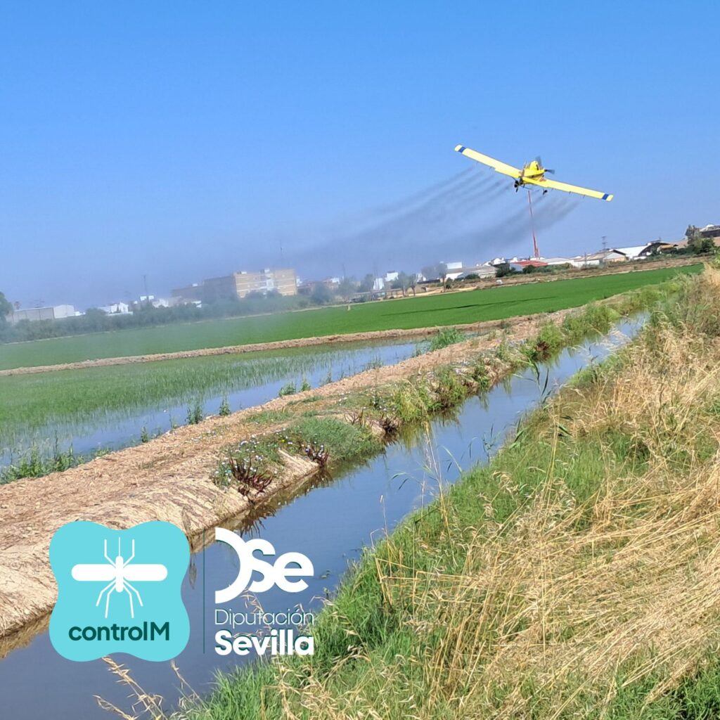 Aviso de tratamiento adulticida aéreo sobre tablas de arroz para el control de mosquitos transmisores del virus del Nilo occidental (VNO) en Isla Mayor, Sevilla