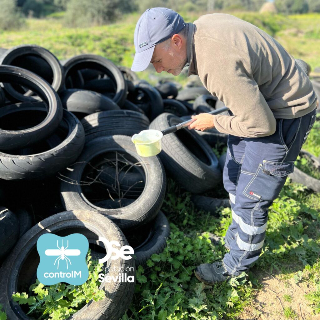 Actualización sobre los tratamientos larvicidas para el control de mosquitos transmisores del virus del Nilo occidental (VNO) en Aznalcázar, Sevilla