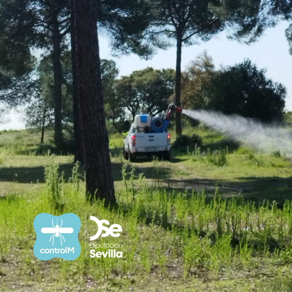 Actualización sobre los tratamientos larvicidas para el control de mosquitos transmisores del virus del Nilo occidental (VNO) en Villamanrique de la Condesa, Sevilla