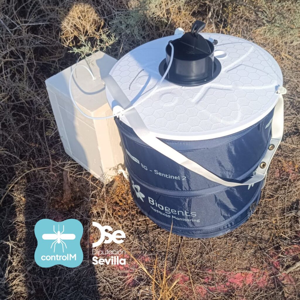 Confirmada la presencia del virus del Nilo occidental en mosquitos en Castilblanco de los Arroyos