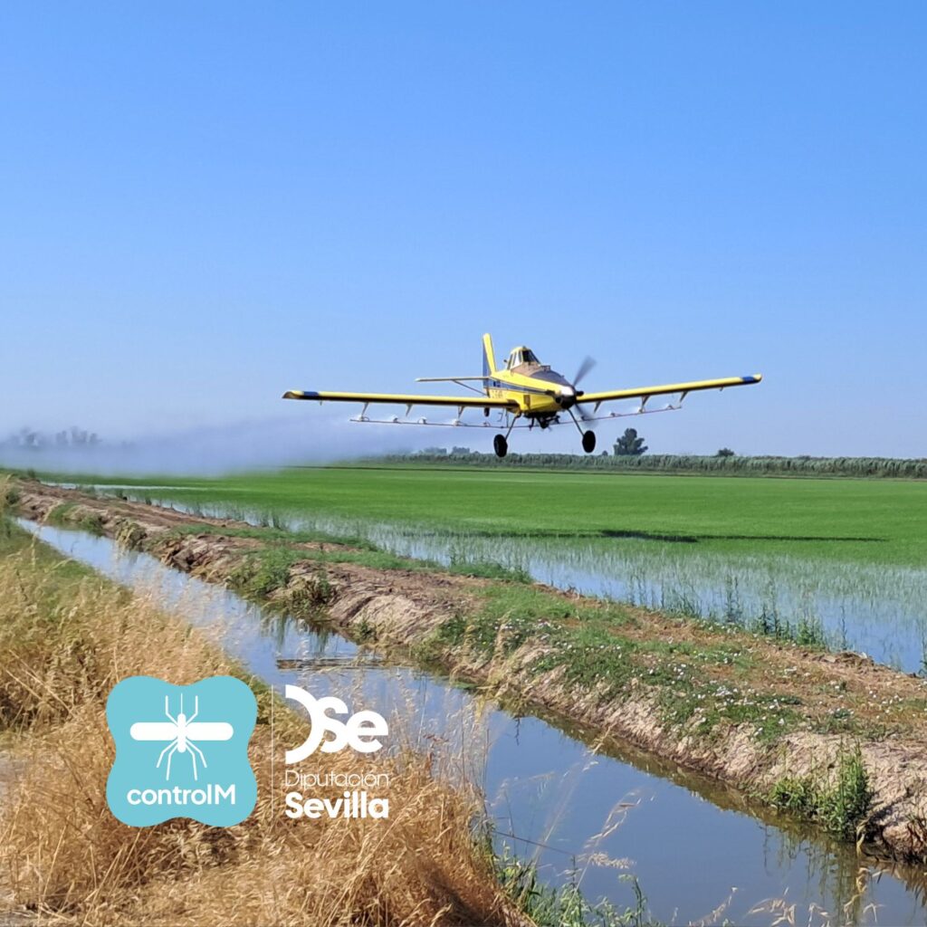 Aviso de continuación de tratamiento adulticida aéreo sobre tablas de arroz para el control de mosquitos transmisores del virus del Nilo occidental (VNO) en Utrera, Sevilla