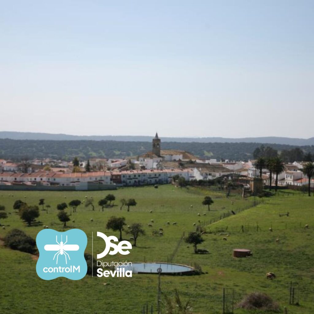 Detectan la presencia de mosquitos con el virus del Nilo en El Pedroso y en El Castillo de las Guardas, Sevilla