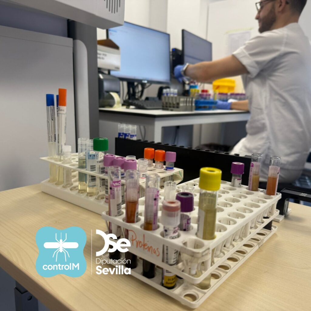 Detectan la presencia de mosquitos con el virus del Nilo occidental en Lebrija, Sevilla