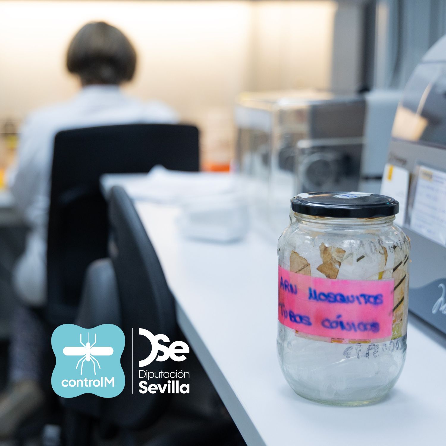 Imagen de un laboratorio con muestras de mosquito