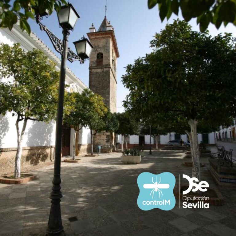 Plaza de Nuestra Señora de las Huertas del municipio de la Puebla de los Infantes un día soleado en el que los árboles proyectan mucha sombra