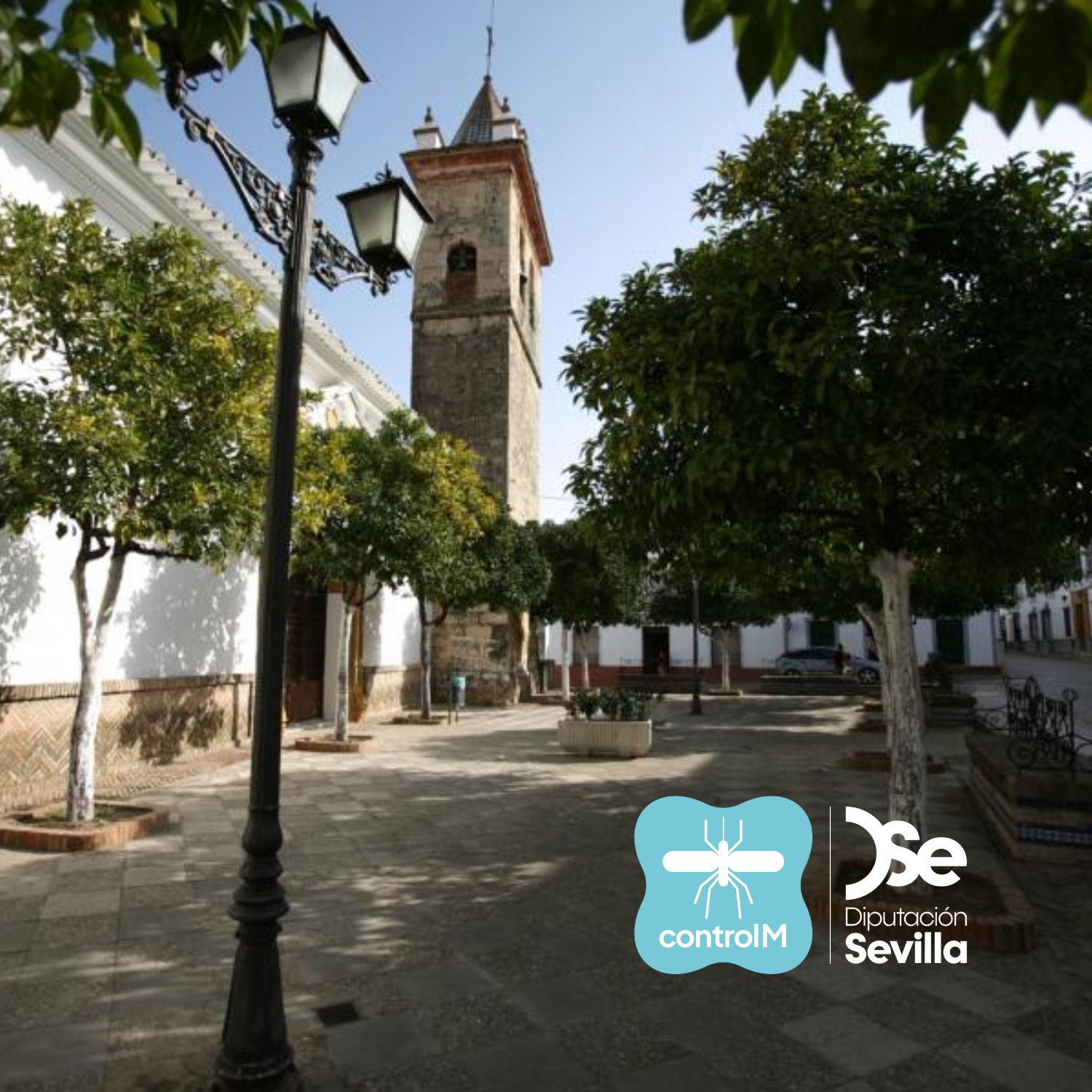 Plaza de Nuestra Señora de las Huertas del municipio de la Puebla de los Infantes un día soleado en el que los árboles proyectan mucha sombra