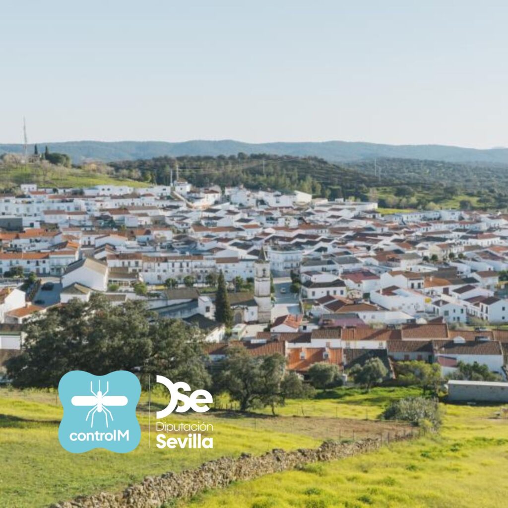 Confirmada la presencia del virus del Nilo occidental en mosquitos en El Real de la Jara, Sevilla