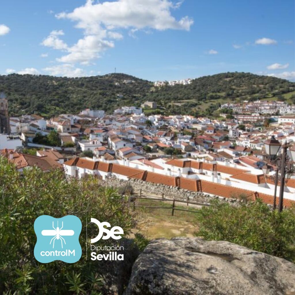 Estado de los municipios de Sevilla en los que se ha detectado circulación del virus del Nilo occidental