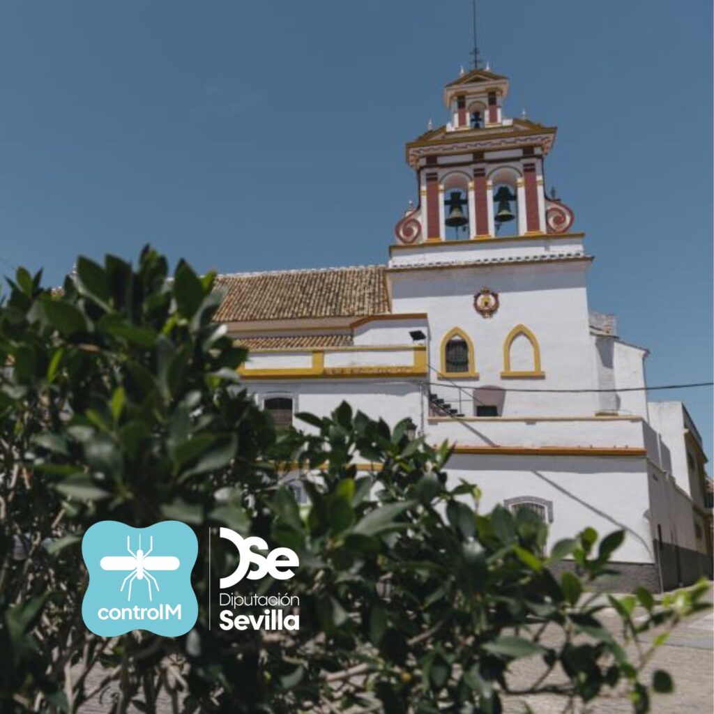 Confirmada la presencia del virus del Nilo occidental en mosquitos en Guillena, Sevilla