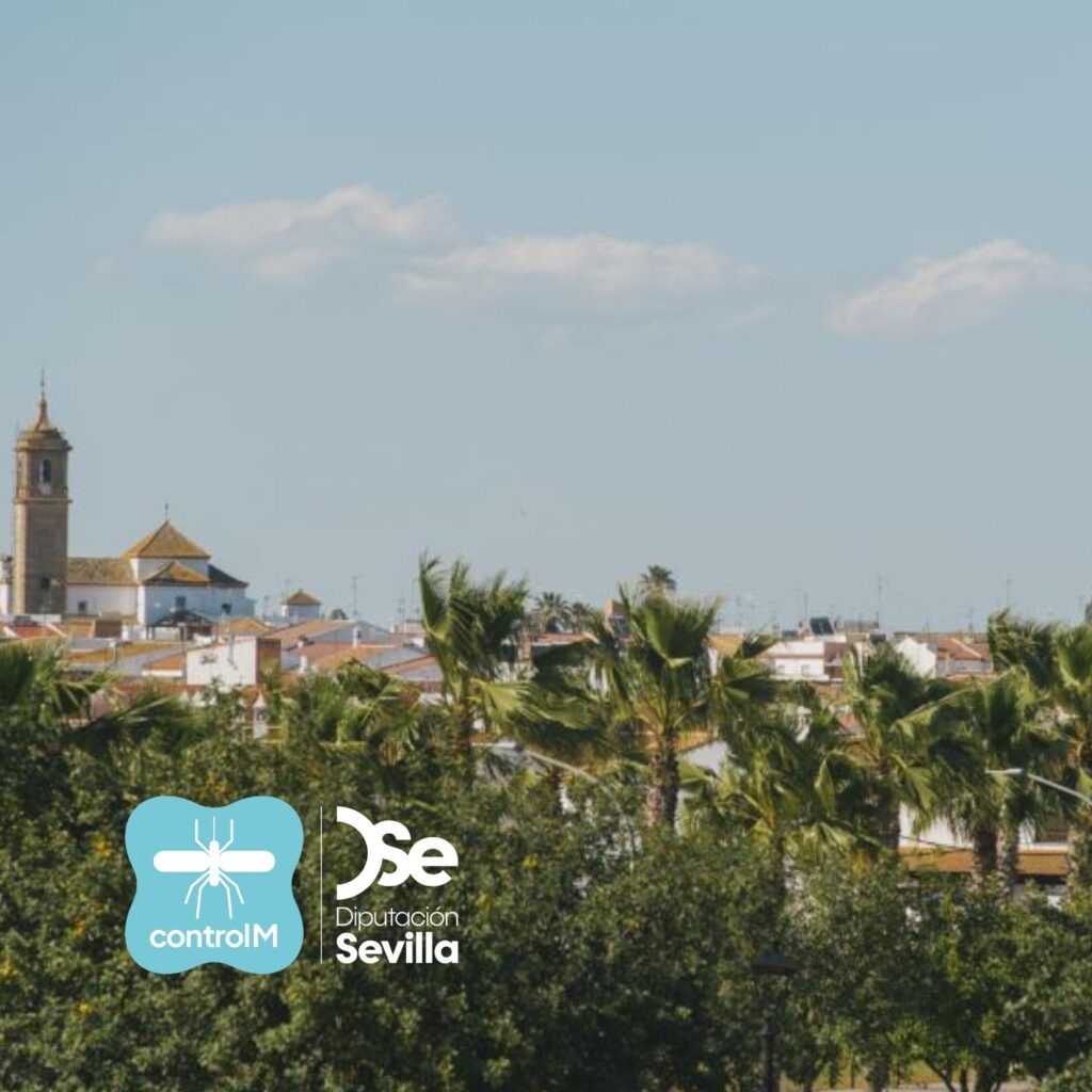 Detectan la presencia de mosquitos con el virus del Nilo en Villamanrique de la Condesa, Sevilla