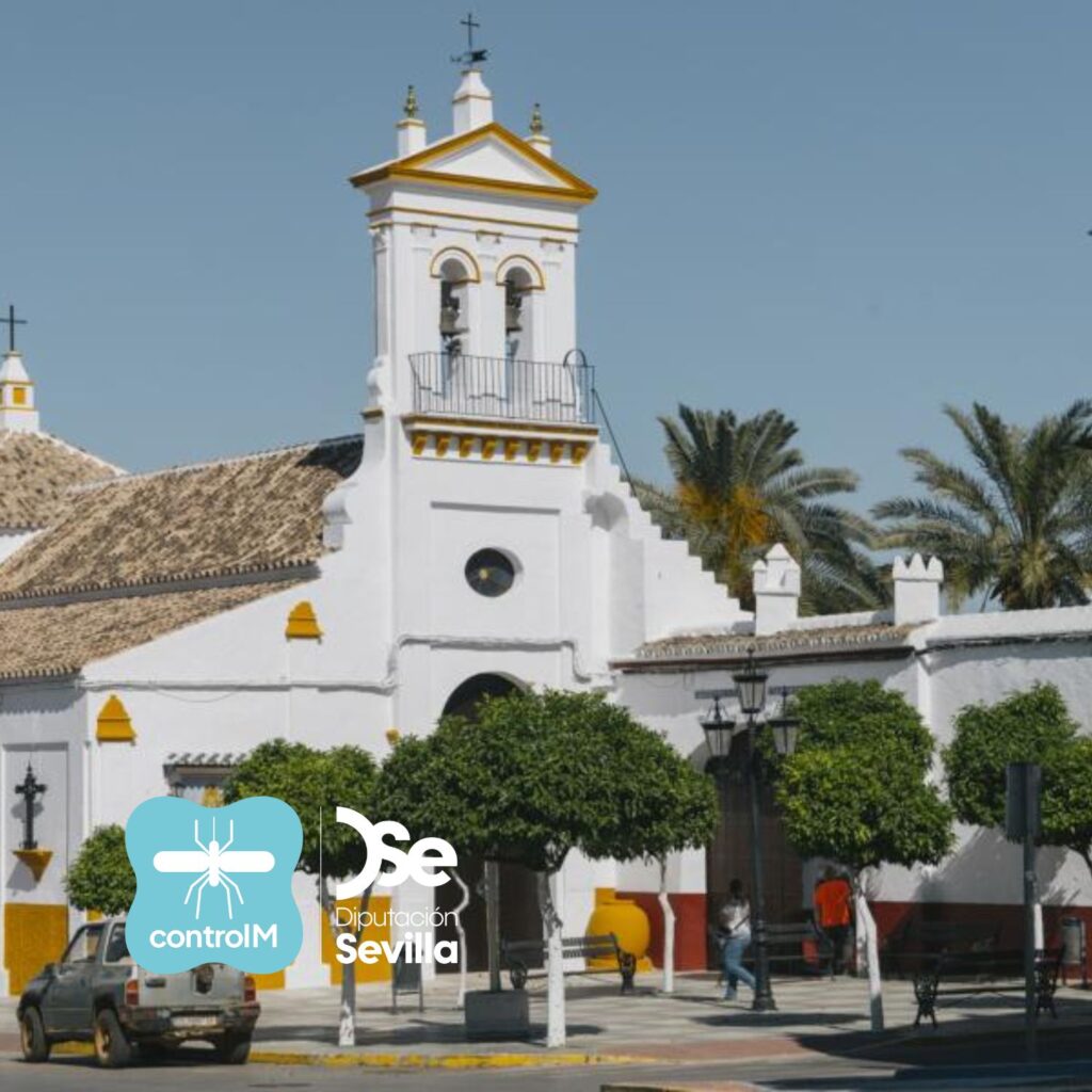 Detectan la presencia de mosquitos con el virus del Nilo occidental en Almensilla, Sevilla