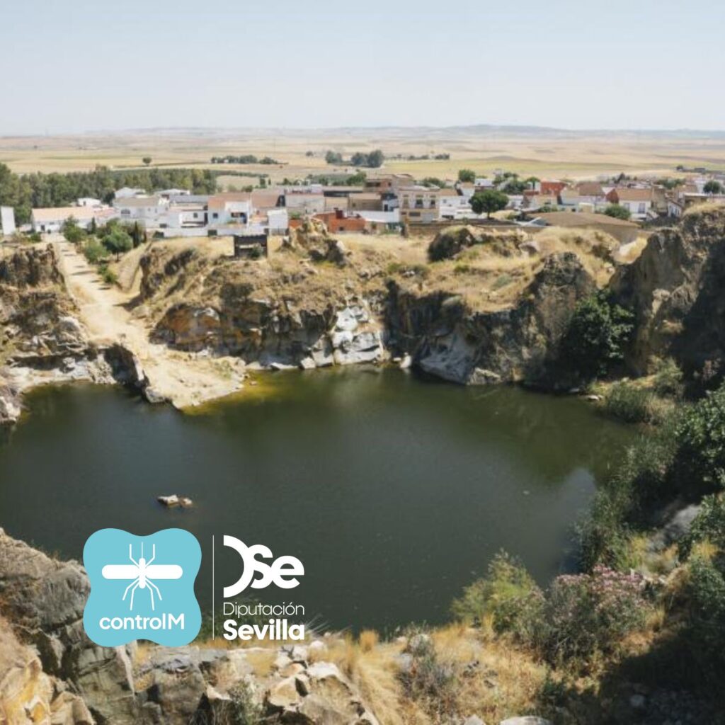 Detectan la presencia de mosquitos con el virus del Nilo occidental en Gerena, Sevilla