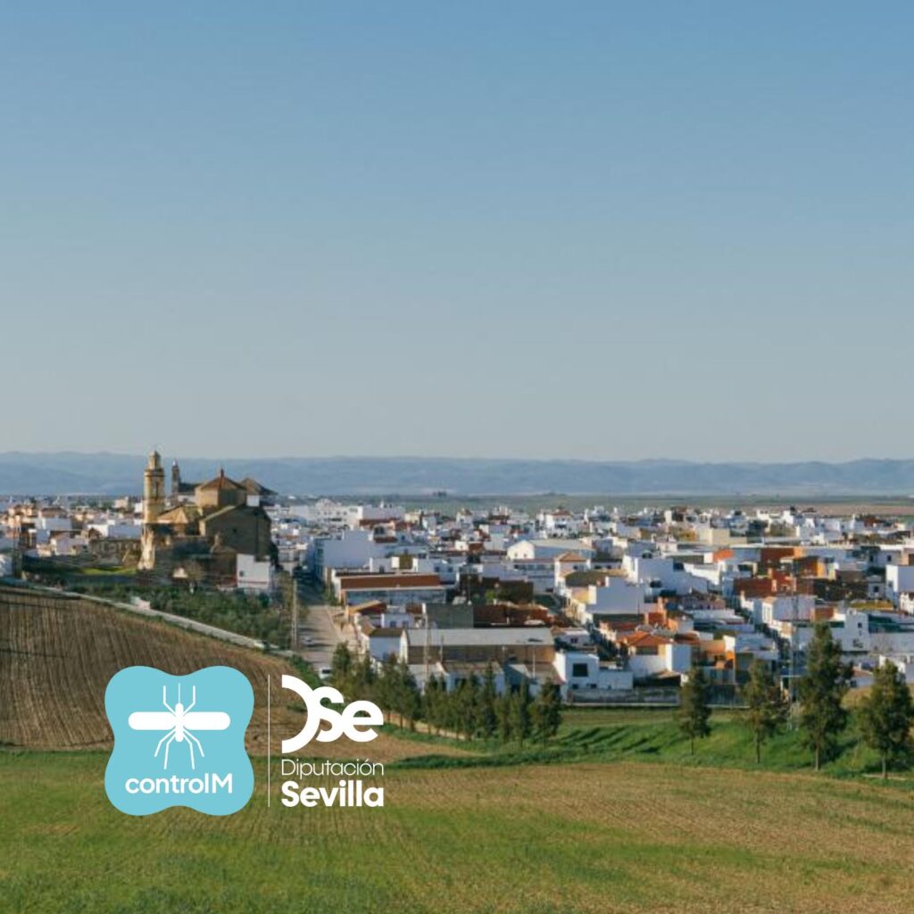 Detectan la presencia de mosquitos con el virus del Nilo en La Campana y La Puebla de los Infantes, Sevilla