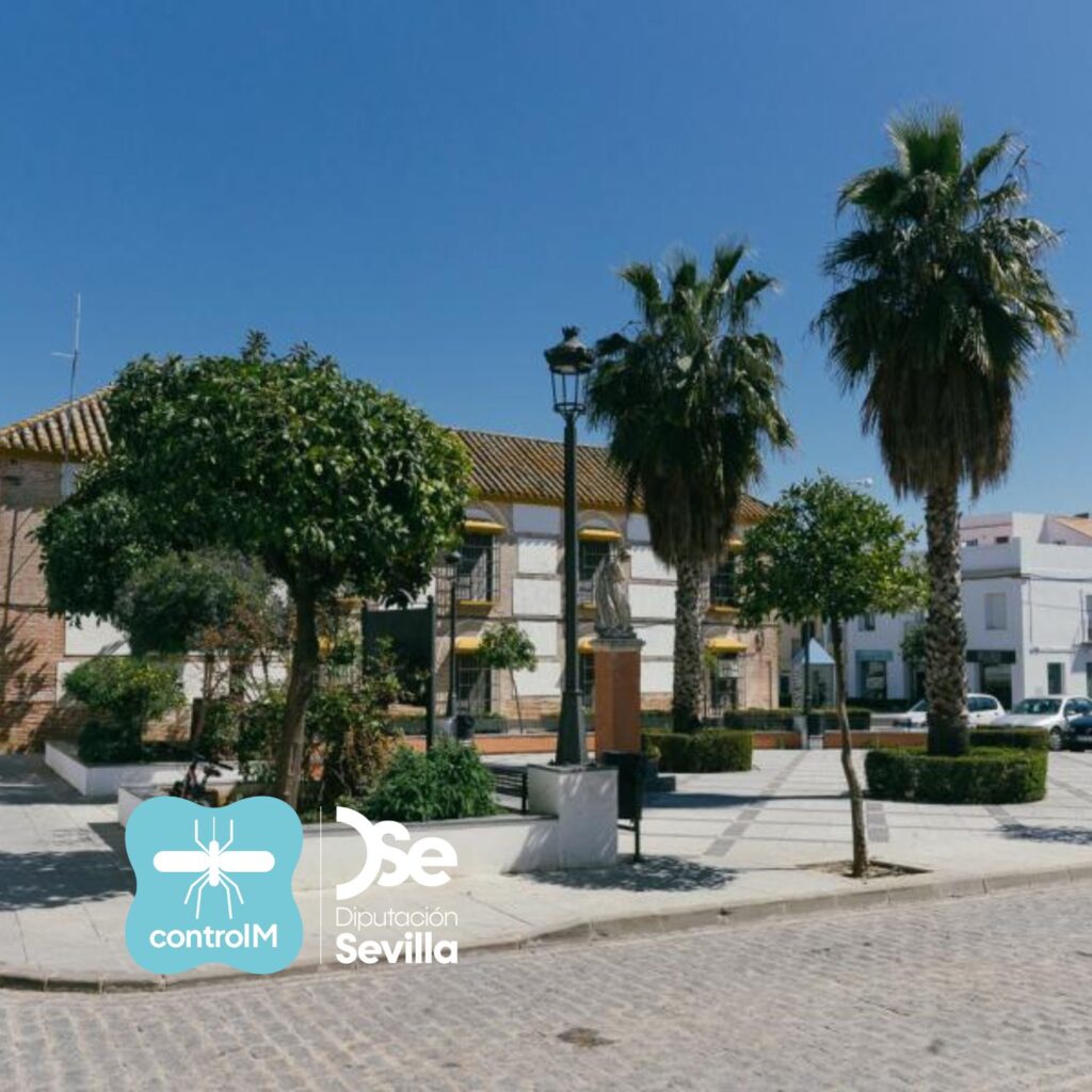 Detectan la presencia de mosquitos con el virus del Nilo occidental en La Luisiana y La Campana, Sevilla