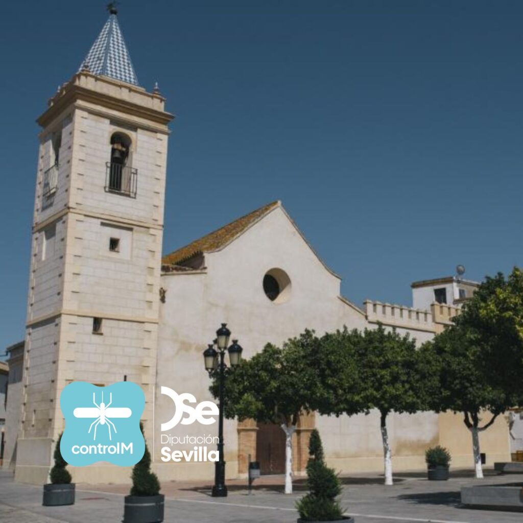 Confirmado en La Rinconada un nuevo caso de fiebre del Nilo occidental en la provincia de Sevilla