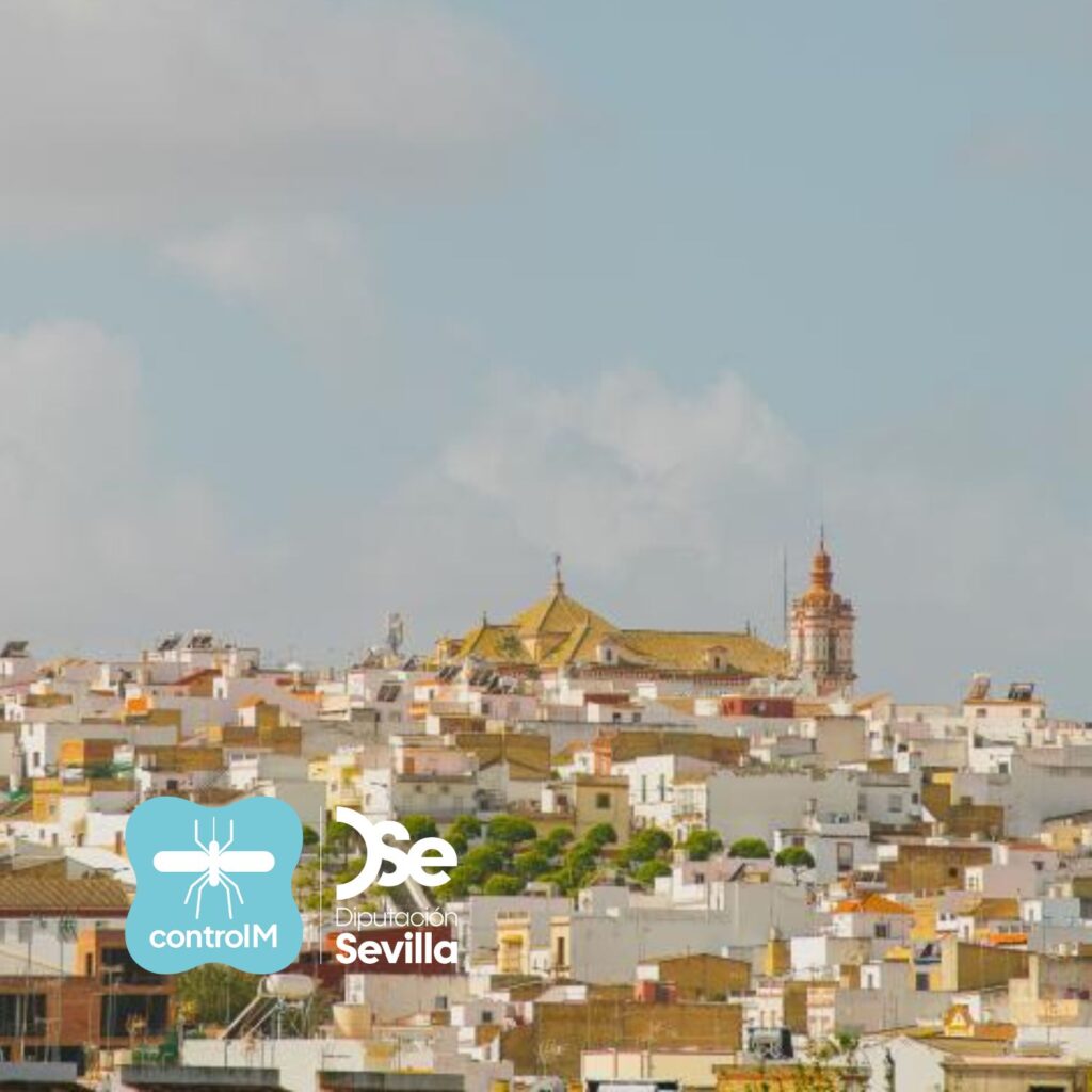 Detectan la presencia de mosquitos con el virus del Nilo occidental en Las Cabezas de San Juan, Sevilla