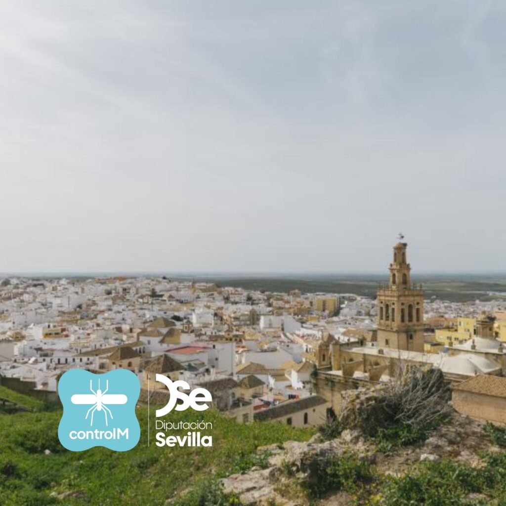 Confirmado en Morón de la Frontera el primer caso de fiebre del Nilo occidental en la provincia de Sevilla