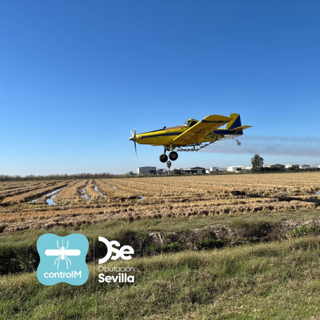La Diputación inicia la tercera fase de tratamientos biocidas aéreos en el arrozal para el control de los mosquitos transmisores del Virus del Nilo Occidental
