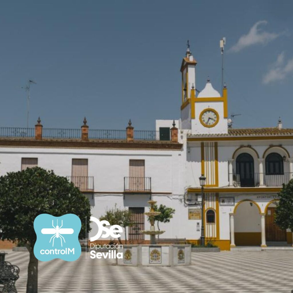 Detectan la presencia de mosquitos con el virus del Nilo occidental en Aznalcázar, Sevilla