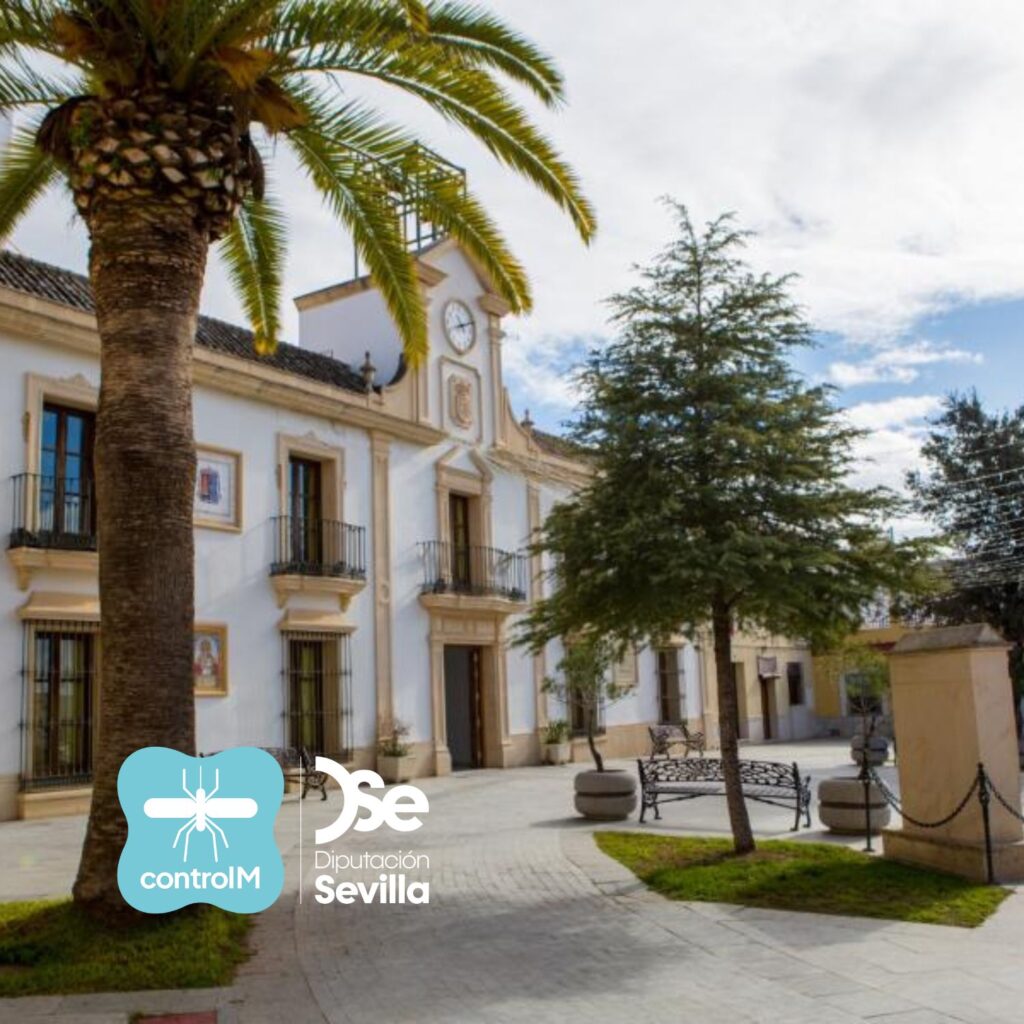 Detectan la presencia de caballos infectados con el virus del Nilo occidental en Burguillos y en la urbanización Torrepalma de Carmona, Sevilla