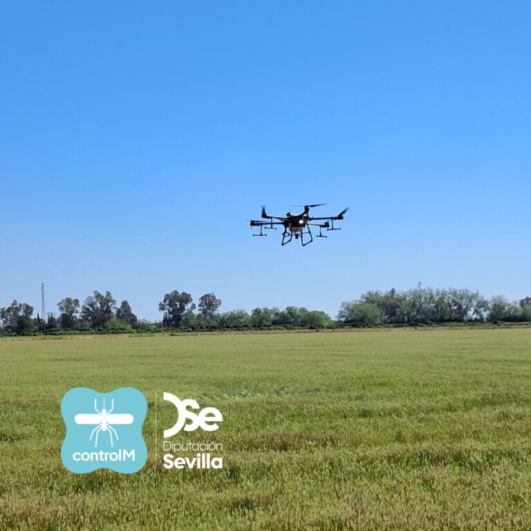Aplicación larvicida con drone sobre los arrozales de La Puebla del Río.