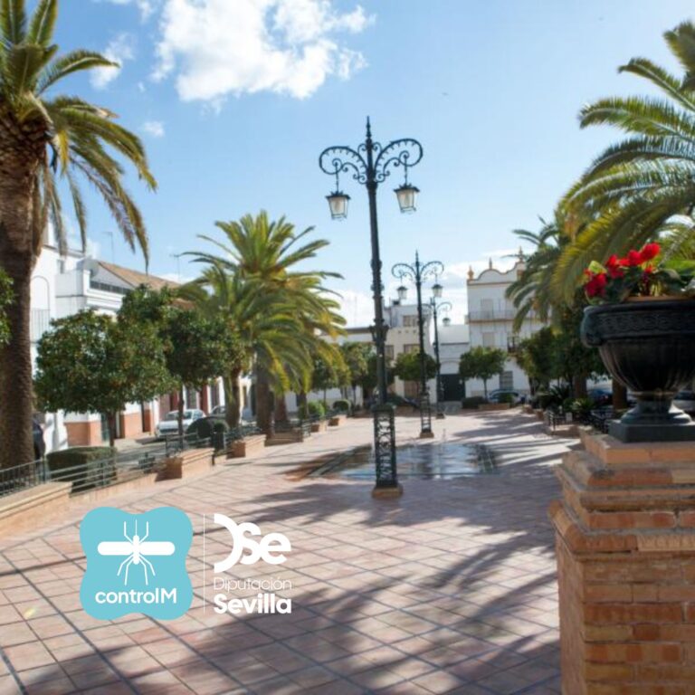 Imagen de la plaza del Ayuntamiento de Fuentes de Andalucía en un día soleado de invierno.