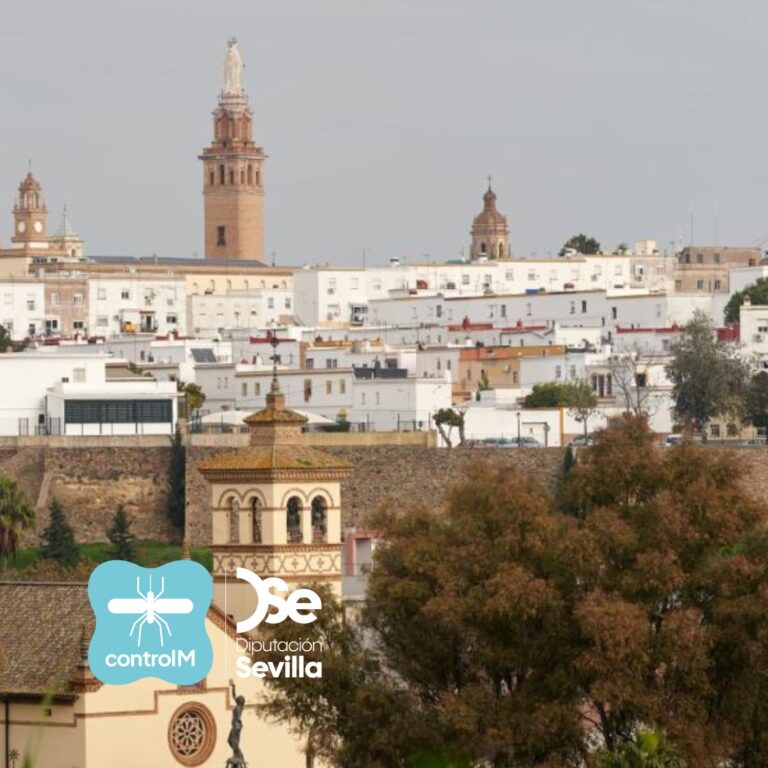 Vistas desde un mirador del municipio de San Juan de Aznalfarache. En la imagen se puede observar parte del casco histórico junto a la torre del campanario de la iglesia.