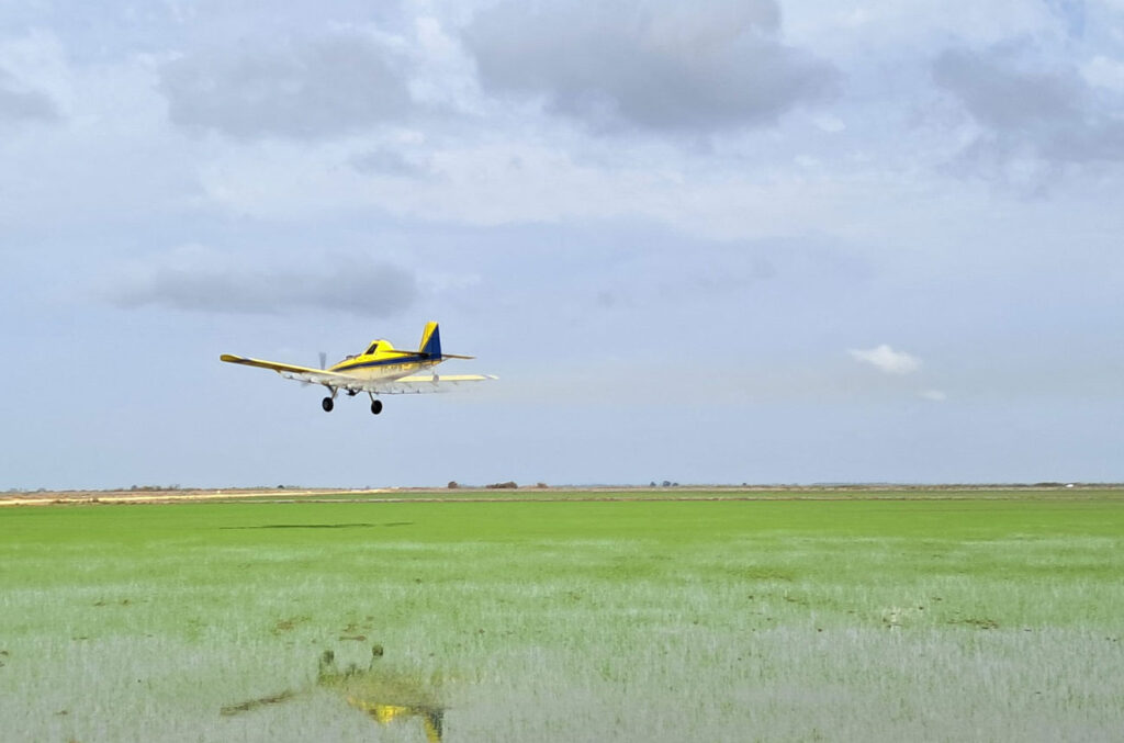 Aviso de tratamientos aéreos para el control de larvas de mosquitos en arrozales de La Puebla del Río
