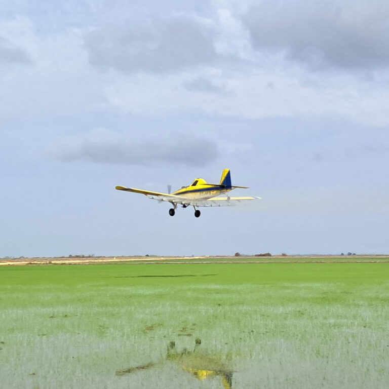 Tratamientos aéreos en arroz