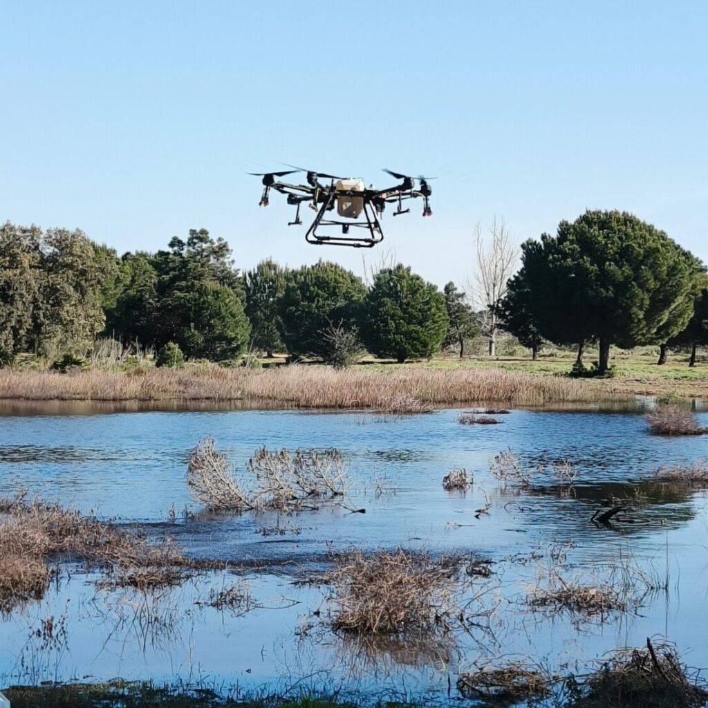 La planificación anticipada agiliza la disponibilidad de recursos para la campaña frente a los mosquitos de la Diputación de Sevilla