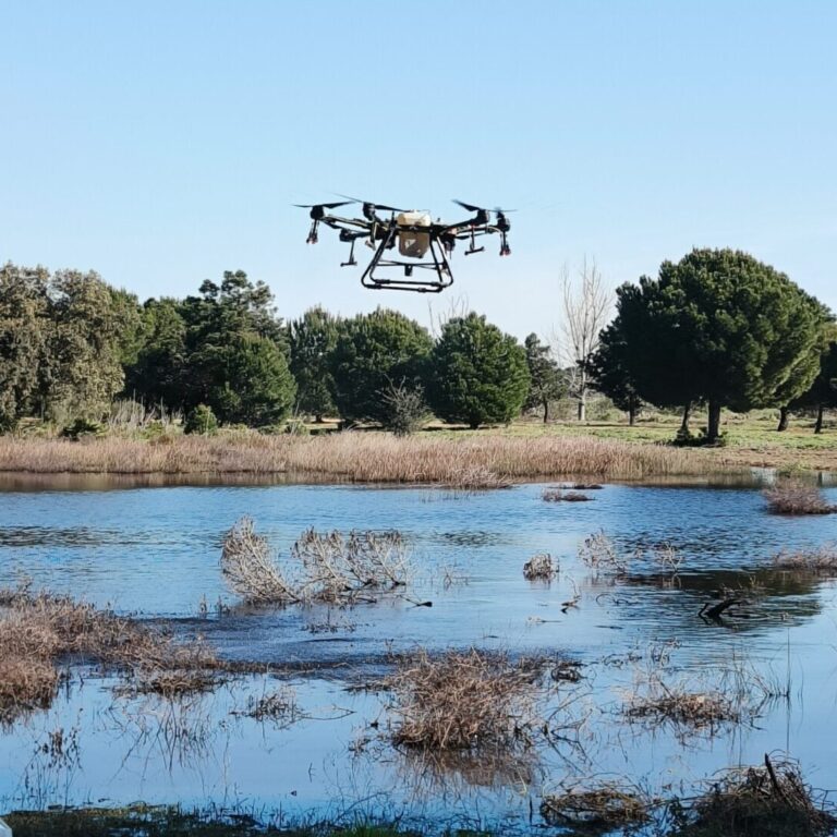 Dron aplicando contra larvas de mosquito