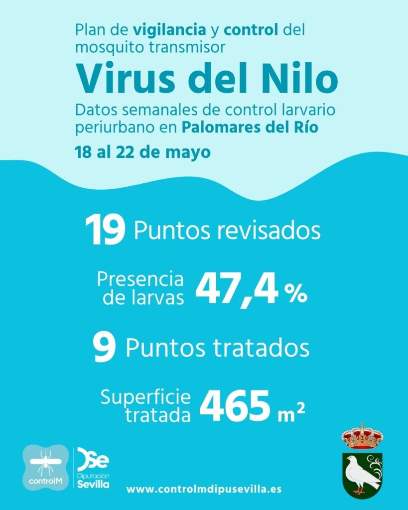 Resultados trabajos de vigilancia y control de larvas en Palomares del Río. Semana del 18 al 22 de mayo.