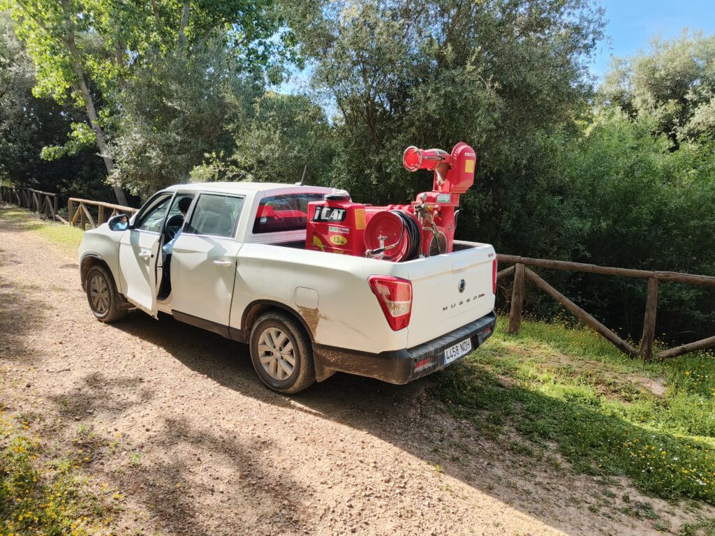 Sanidad declara área en alerta por virus del Nilo occidental el municipio sevillano de Constantina