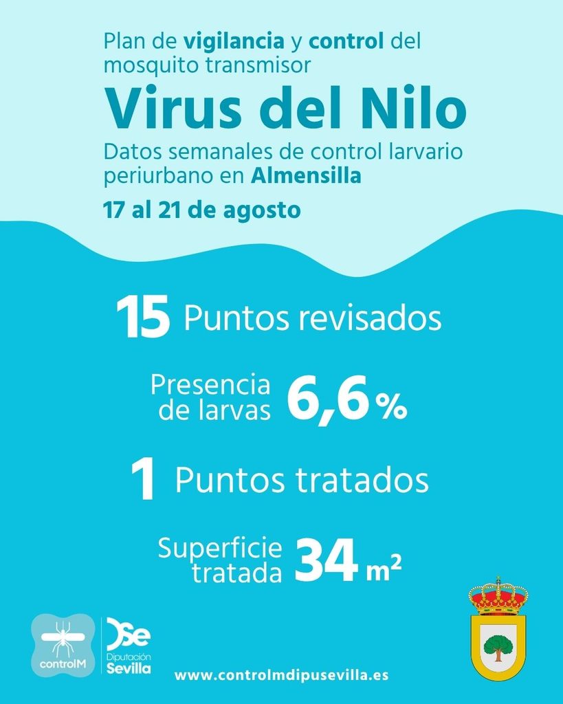 Resultados trabajos de vigilancia y control de larvas en Almensilla. Semana del 17 al 21 de agosto