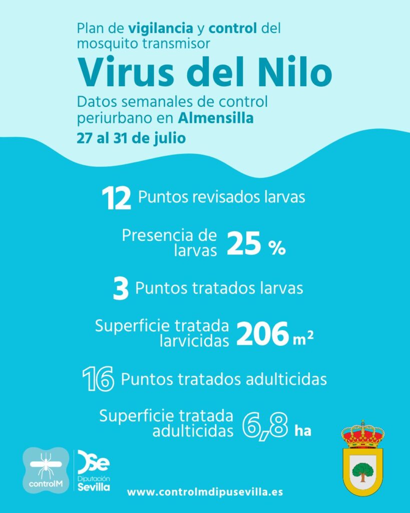 Resultados trabajos de vigilancia y control de larvas en Almensilla. Semana del 27 al 31 de julio