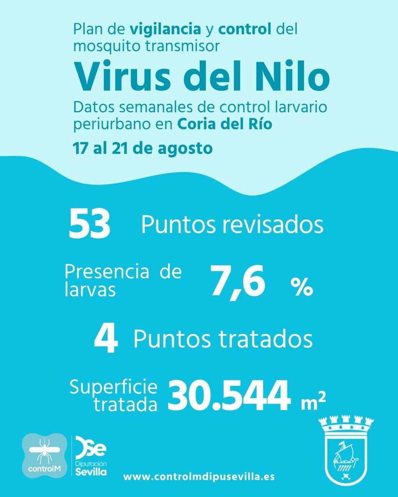 Resultados trabajos de vigilancia y control de larvas en Coria del Río. Semana del 17 al 21 de agosto