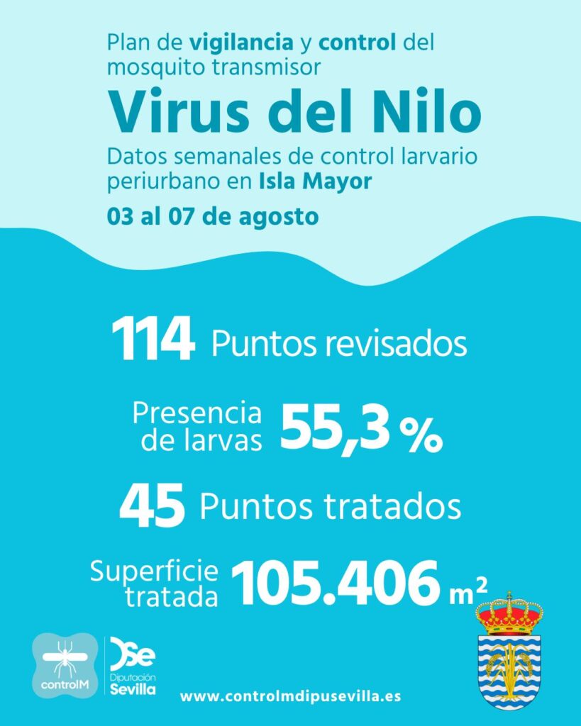 Resultados trabajos de vigilancia y control de larvas en Isla Mayor. Semana del 03 al 07 de agosto
