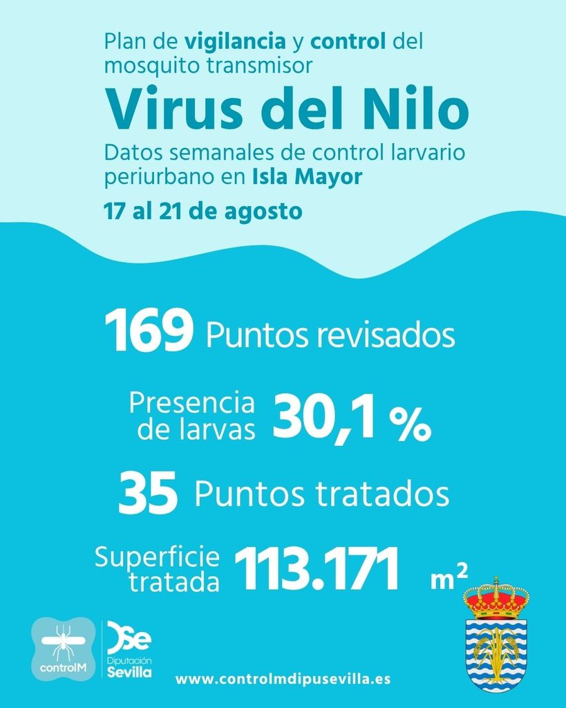 Resultados trabajos de vigilancia y control de larvas en Isla Mayor. Semana del 17 al 21 de agosto