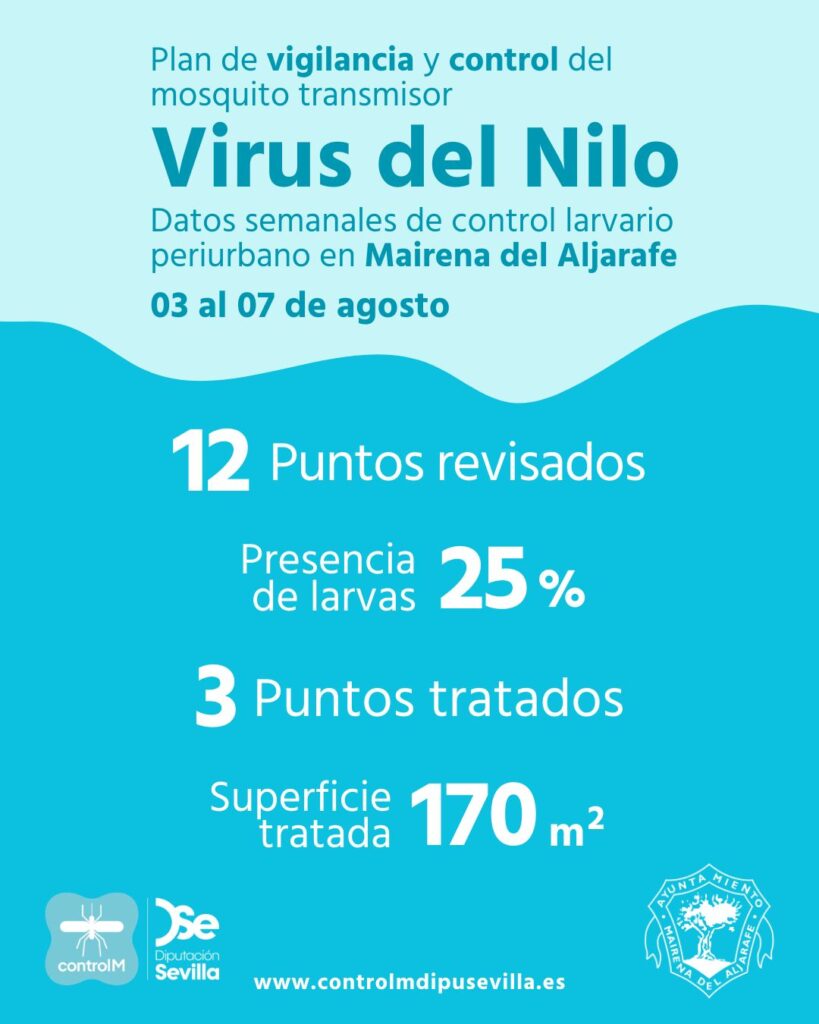 Resultados trabajos de vigilancia y control de larvas en Mairena del Aljarafe. Semana del 03 al 07 de agosto