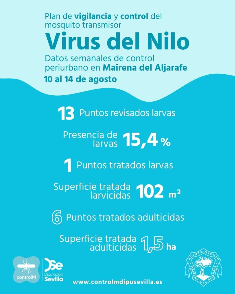 Resultados trabajos de vigilancia y control de larvas en Mairena del Aljarafe. Semana del 10 al 14 de agosto