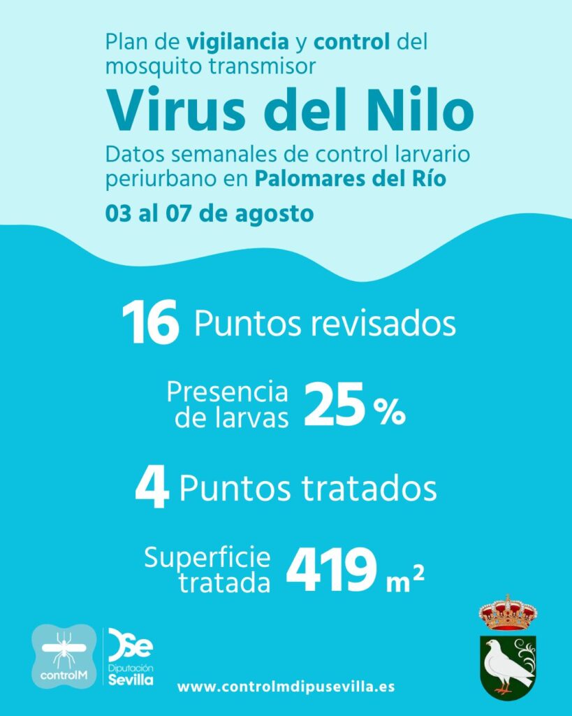 Resultados trabajos de vigilancia y control de larvas en Palomares del Río. Semana del 03 al 07 de agosto