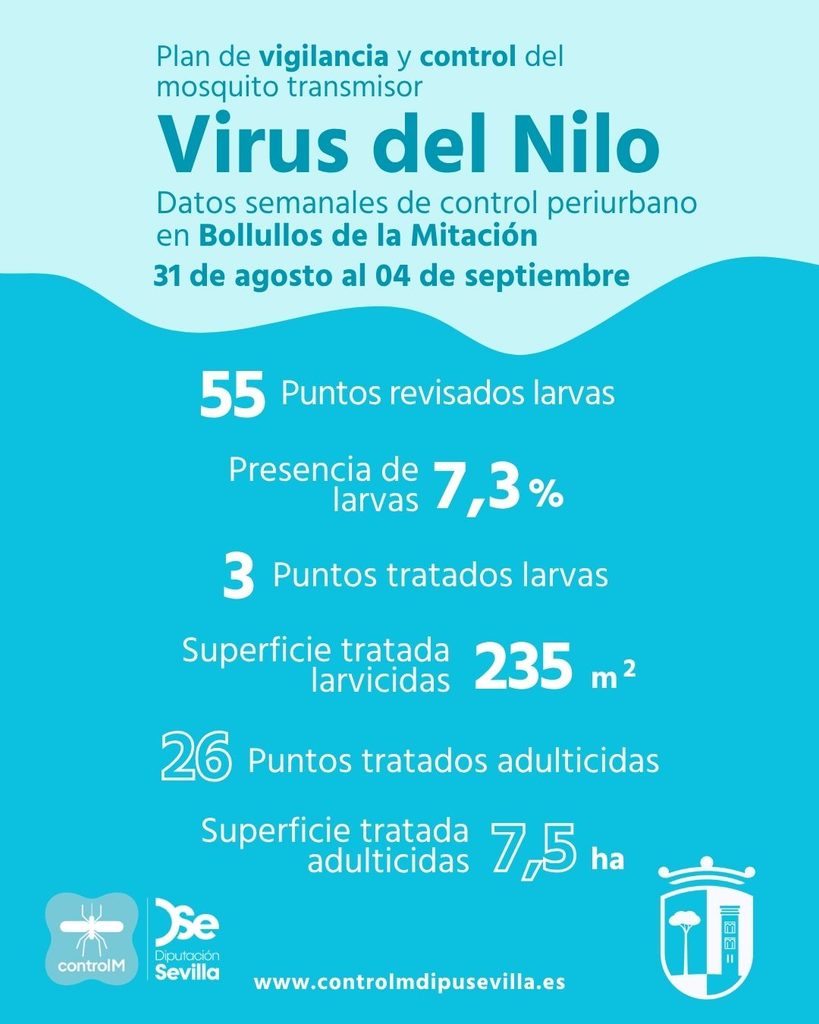 Resultados trabajos de vigilancia y control de larvas en Bollullos de la Mitación. Semana del 31 de agosto al 04 de septiembre
