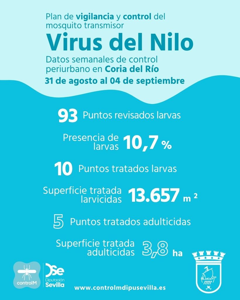 Resultados trabajos de vigilancia y control de larvas en Coria del Río. Semana del 31 de agosto al 04 de septiembre