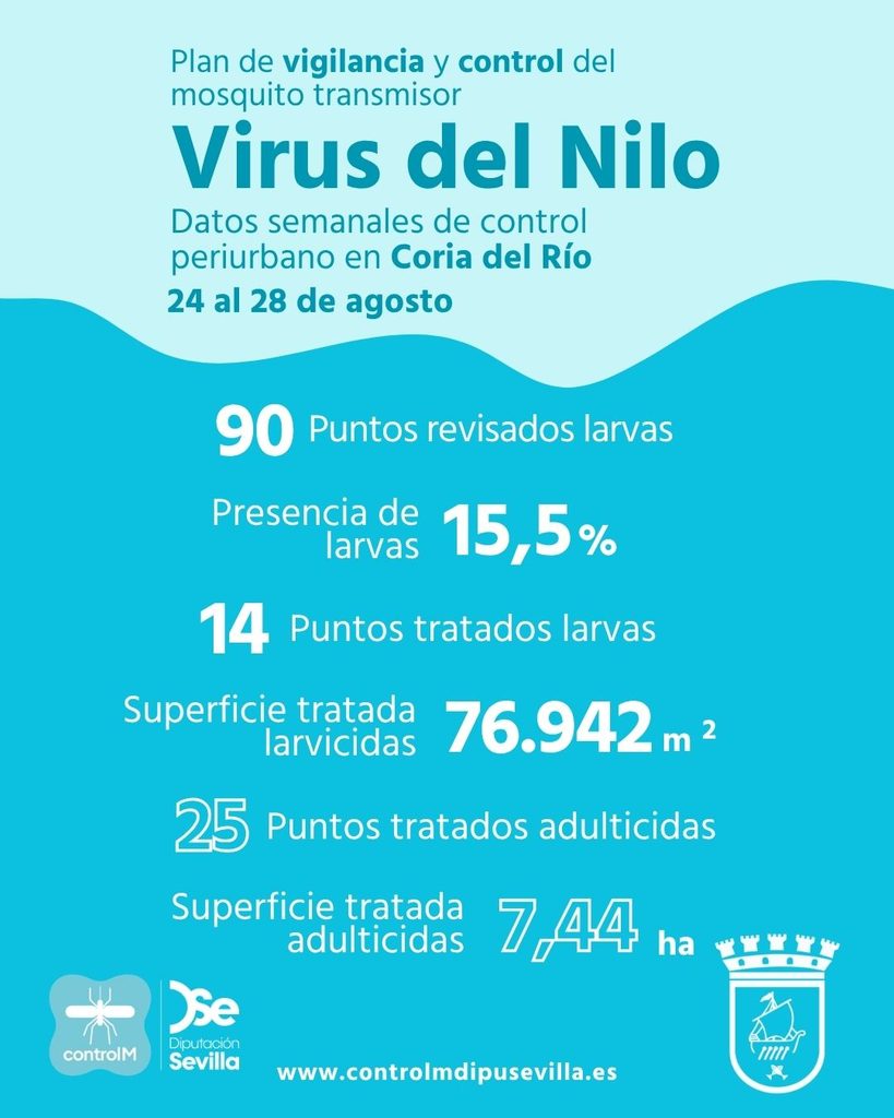 Resultados trabajos de vigilancia y control de larvas en Coria del Río. Semana del 24 al 28 de agosto
