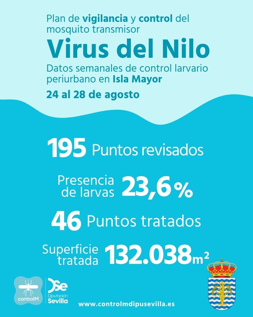 Resultados trabajos de vigilancia y control de larvas en Isla Mayor. Semana del 24 al 28 de agosto
