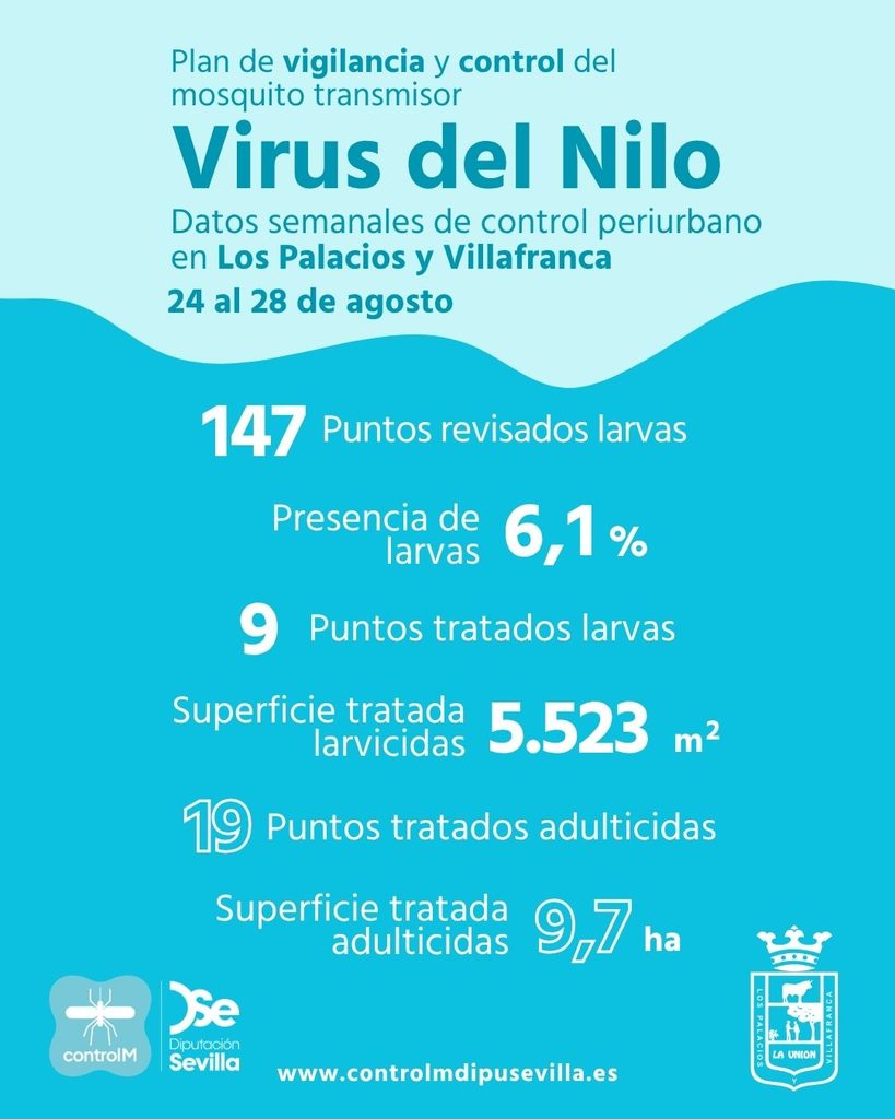 Resultados trabajos de vigilancia y control de larvas en Los Palacios y Villafranca. Semana del 24 al 28 de agosto