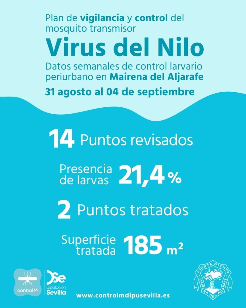 Resultados trabajos de vigilancia y control de larvas en Mairena del Aljarafe. Semana del 31 de agosto al 04 de septiembre